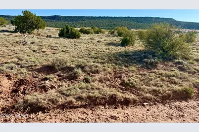 85 Co Road 8500 40 Acres, Concho, AZ 85924 - Photo 5