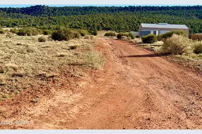 85 Co Road 8500 40 Acres, Concho, AZ 85924 - Photo 5