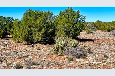 Tbd Co Rd 8307 Lot 100, Concho, AZ 85924 - Photo 7