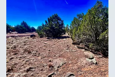 Tbd Co Rd 8307 Lot 100, Concho, AZ 85924 - Photo 3