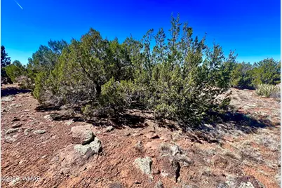 Tbd Co Rd 8307 Lot 100, Concho, AZ 85924 - Photo 11