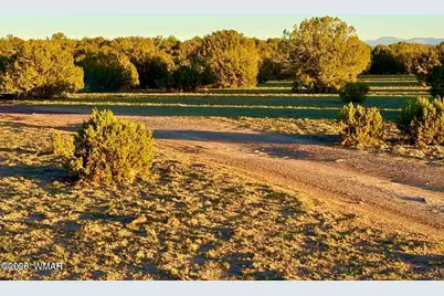 9023 Appaloosa Trail Lot E 10 Acres, Show Low, AZ 85901 - Photo 13