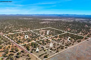 9023 Appaloosa Trail Lot E 10 Acres, Show Low, AZ 85901 - Photo 1