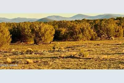 9023 Appaloosa Trail Lot E 10 Acres, Show Low, AZ 85901 - Photo 17