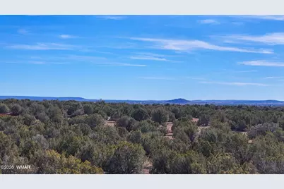 9023 Appaloosa Trail Lot E 10 Acres, Show Low, AZ 85901 - Photo 5