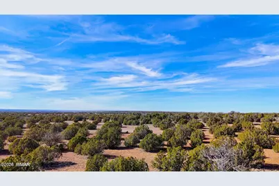 9023 Appaloosa Trail Lot E 10 Acres, Show Low, AZ 85901 - Photo 13