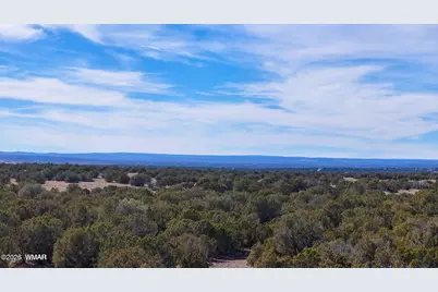 9023 Appaloosa Trail Lot E 10 Acres, Show Low, AZ 85901 - Photo 7