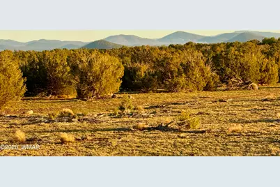 9023 Appaloosa Trail Lot D 10 Acres, Show Low, AZ 85901 - Photo 17