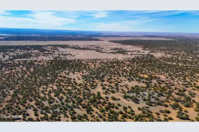 9023 Appaloosa Trail Lot D 10 Acres, Show Low, AZ 85901 - Photo 15