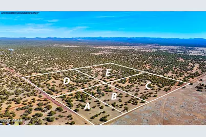 9023 Appaloosa Trail Lot D 10 Acres, Show Low, AZ 85901 - Photo 3
