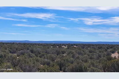9023 Appaloosa Trail Lot D 10 Acres, Show Low, AZ 85901 - Photo 3