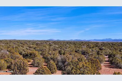 9023 Appaloosa Trail Lot D 10 Acres, Show Low, AZ 85901 - Photo 11