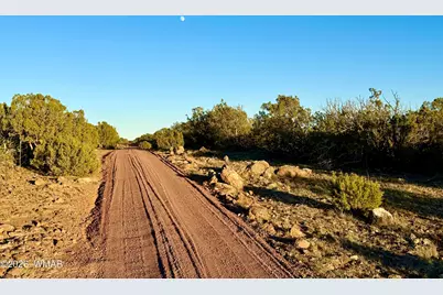 9023 Appaloosa Trail Lot D 10 Acres, Show Low, AZ 85901 - Photo 21
