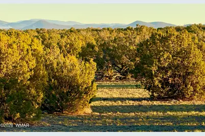 9023 Appaloosa Trail Lot D 10 Acres, Show Low, AZ 85901 - Photo 11