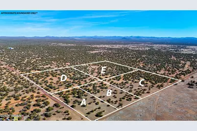 9023 Appaloosa Trail Lot D 10 Acres, Show Low, AZ 85901 - Photo 1
