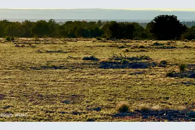 9023 Appaloosa Trail Lot D 10 Acres, Show Low, AZ 85901 - Photo 23