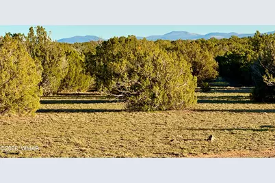 9023 Appaloosa Trail Lot D 10 Acres, Show Low, AZ 85901 - Photo 25