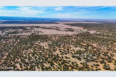 9023 Appaloosa Trail Lot D 10 Acres, Show Low, AZ 85901 - Photo 19