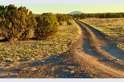 9023 Appaloosa Trail Lot D 10 Acres, Show Low, AZ 85901 - Photo 7