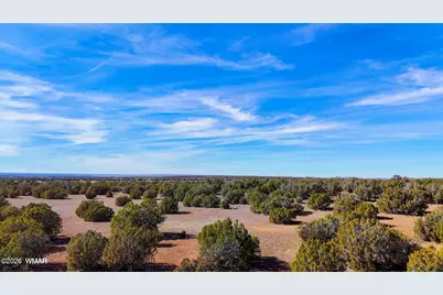 9023 Appaloosa Trail Lot D 10 Acres, Show Low, AZ 85901 - Photo 9