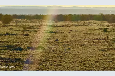 9023 Appaloosa Trail Lot D 10 Acres, Show Low, AZ 85901 - Photo 13