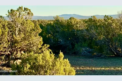 9023 Appaloosa Trail Lot D 10 Acres, Show Low, AZ 85901 - Photo 15