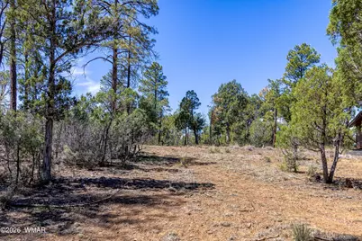 1651 S Falling Leaf Road, Show Low, AZ 85901 - Photo 13