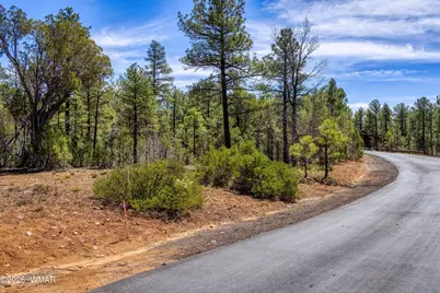 1651 S Falling Leaf Road, Show Low, AZ 85901 - Photo 11