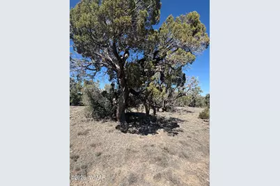 03E N8716, Concho, AZ 85924 - Photo 5