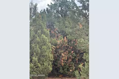 20 N3065, Vernon, AZ 85940 - Photo 11