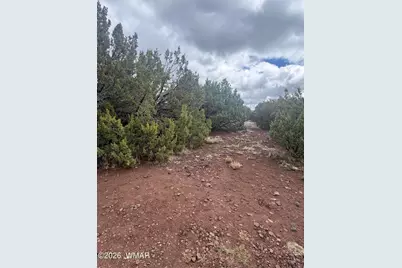 20 N3065, Vernon, AZ 85940 - Photo 7