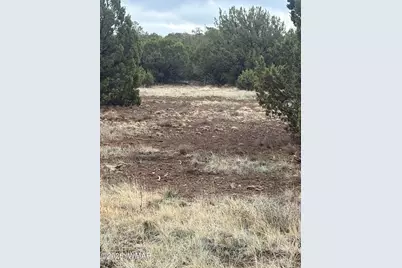 20 N3065, Vernon, AZ 85940 - Photo 9