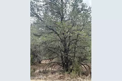 20 N3065, Vernon, AZ 85940 - Photo 13