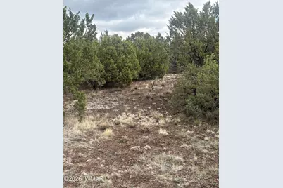 20 N3065, Vernon, AZ 85940 - Photo 3