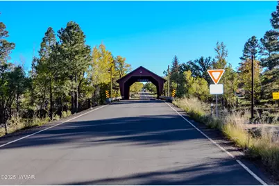 685 Kuhn Road, Pinedale, AZ 85934 - Photo 61