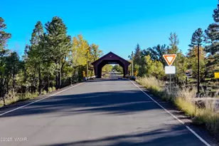 685 Kuhn Rd, Pinedale, AZ 85934 - Photo 61