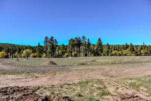 685 Kuhn Rd, Pinedale, AZ 85934 - Photo 33