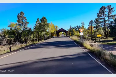 685 Kuhn Road, Pinedale, AZ 85934 - Photo 71