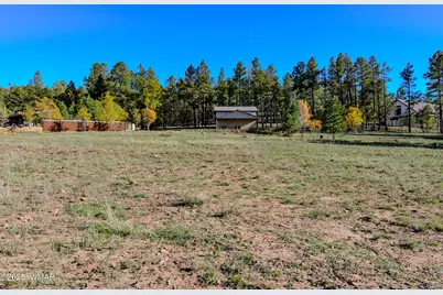 685 Kuhn Road, Pinedale, AZ 85934 - Photo 29