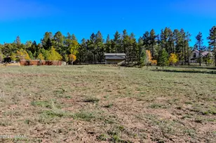 685 Kuhn Rd, Pinedale, AZ 85934 - Photo 29