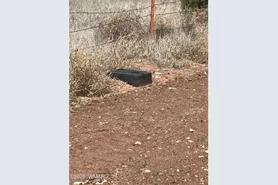 69 Alpine Lane, Concho, AZ 85924 - Photo 25