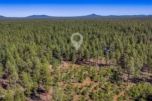 8543 Country Club Dr, Pinetop, AZ 85935 - Photo 31