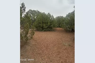 8427 Cochise Circle, Show Low, AZ 85901 - Photo 3