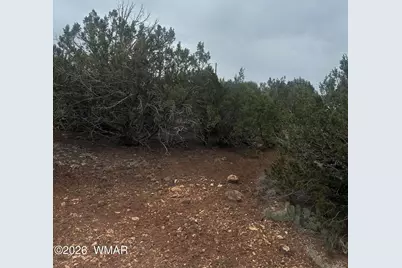 8427 Cochise Circle, Show Low, AZ 85901 - Photo 7