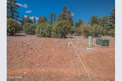 1260 S Lakeside Trail, Show Low, AZ 85901 - Photo 19