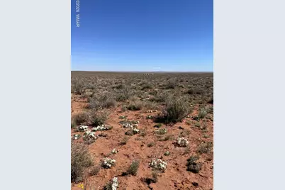 5647 Kohl Road, Snowflake, AZ 85937 - Photo 1