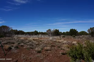 15 N3101, Vernon, AZ 85940 - Photo 83