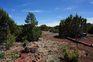 15 N3101, Vernon, AZ 85940 - Photo 91