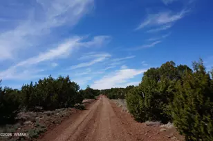 15 N3101, Vernon, AZ 85940 - Photo 35