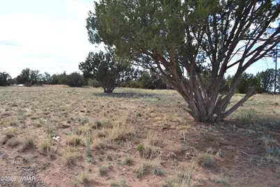 6555 Hunter Road, Snowflake, AZ 85937 - Photo 31